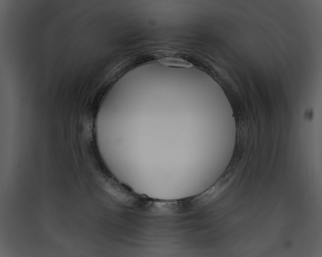 X0000089360188200707131623