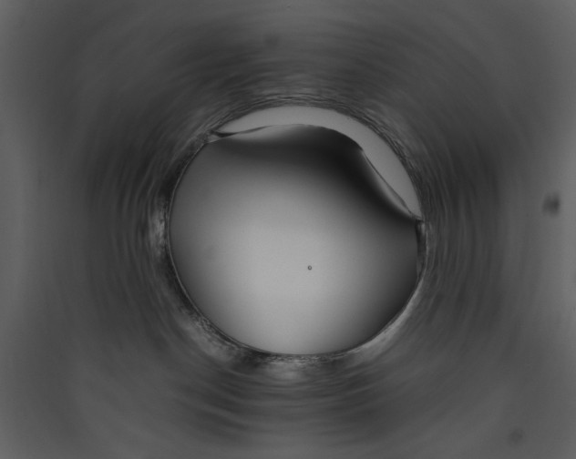 X0000089360190200707131623