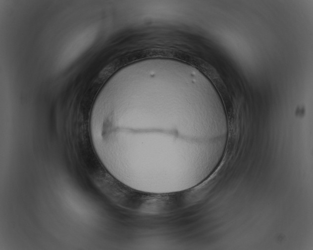 X0000089360191200707131623