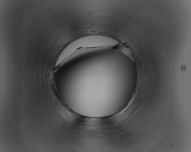 X0000089360192200707131623