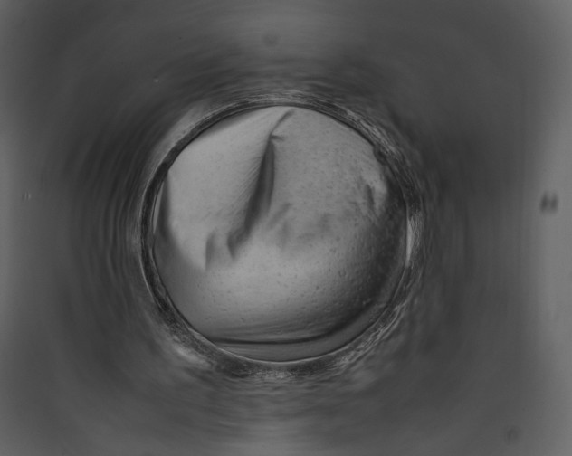 X0000089360195200707131622