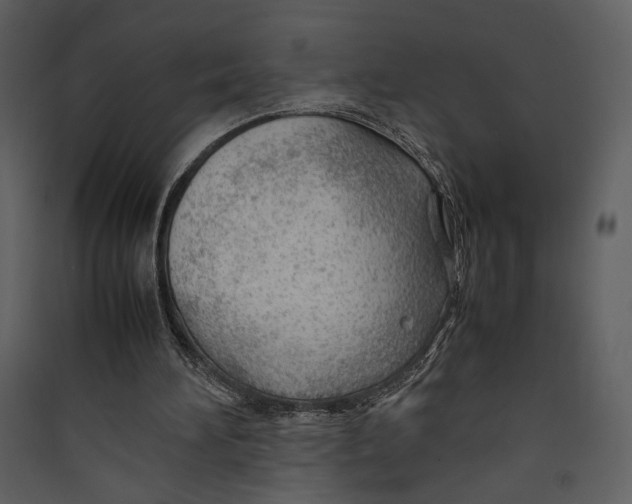 X0000089360196200707131622