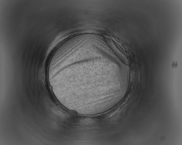 X0000089360198200707131622