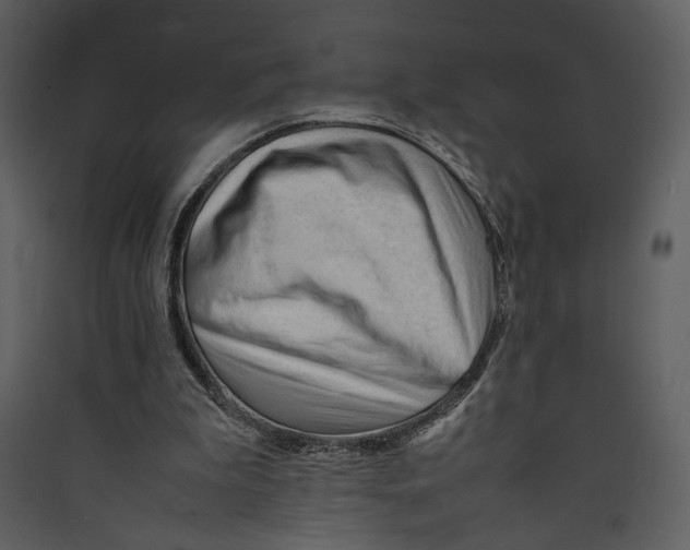 X0000089360199200707131622