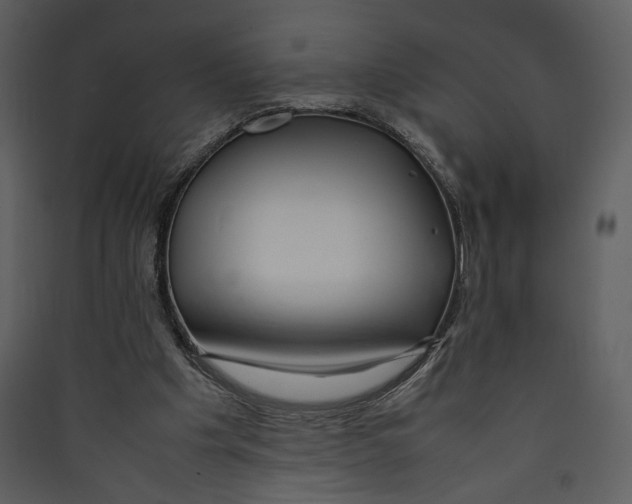 X0000089360201200707131622