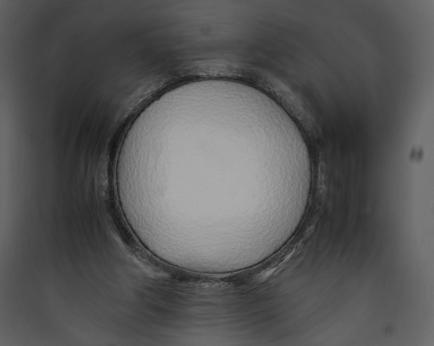 X0000089360202200707131622