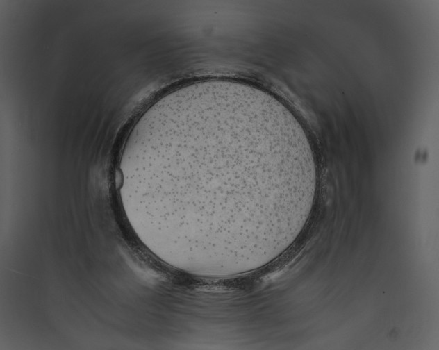 X0000089360203200707131622