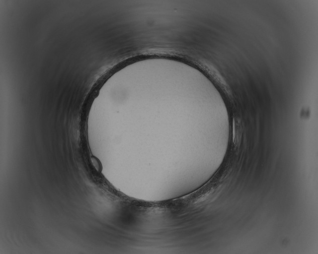 X0000089360204200707131622