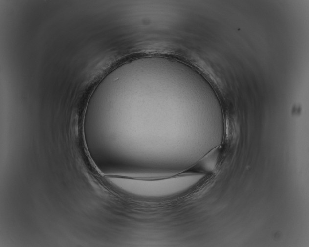 X0000089360205200707131622