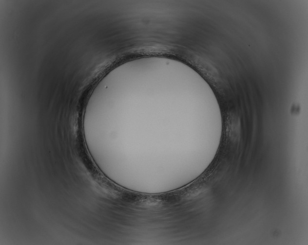 X0000089360206200707131622