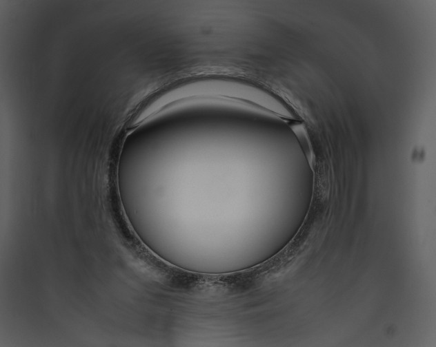 X0000089360207200707131622