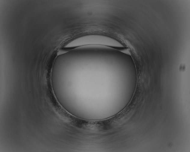 X0000089360209200707131622
