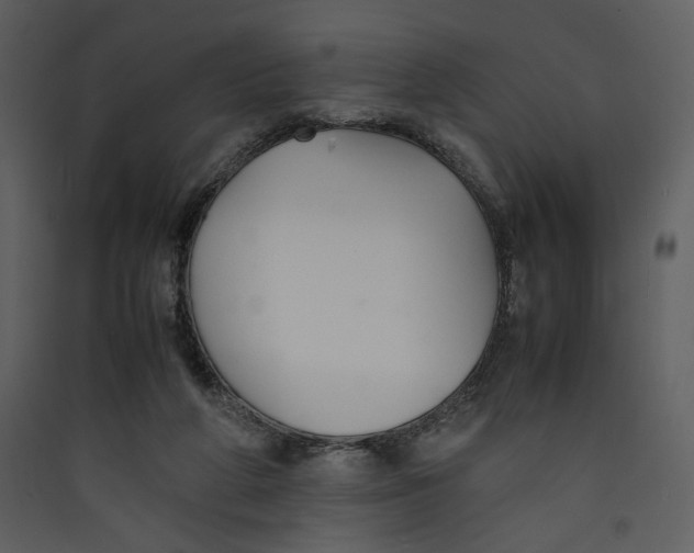X0000089360210200707131622