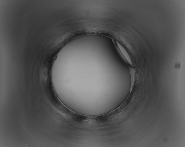 X0000089360211200707131622