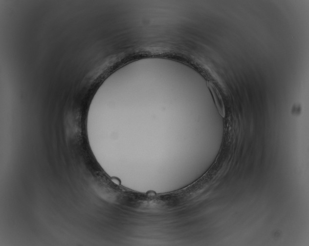 X0000089360212200707131622