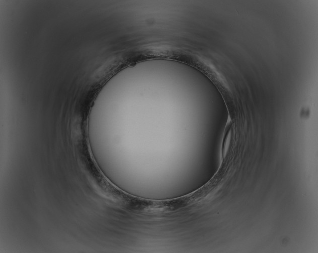 X0000089360213200707131622