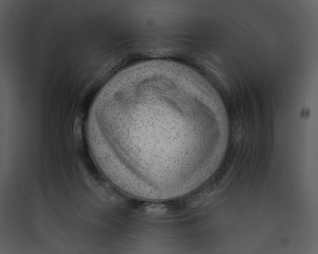 X0000089360214200707131622