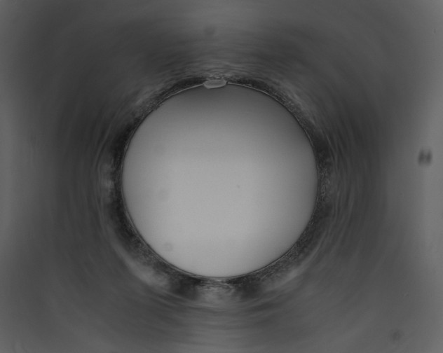 X0000089360215200707131622