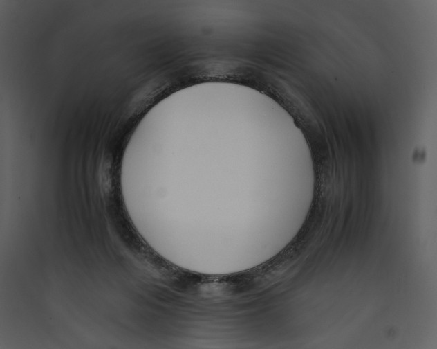 X0000089360216200707131622