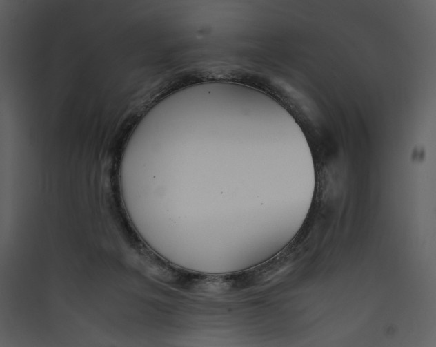 X0000089360217200707131622