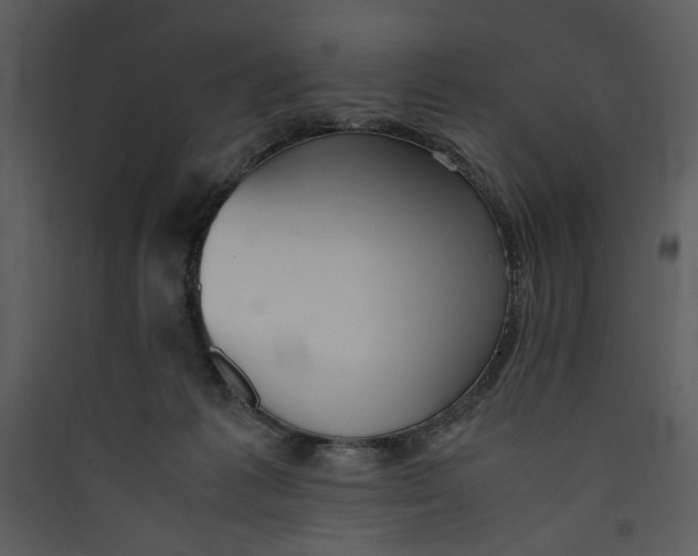 X0000089360221200707131621