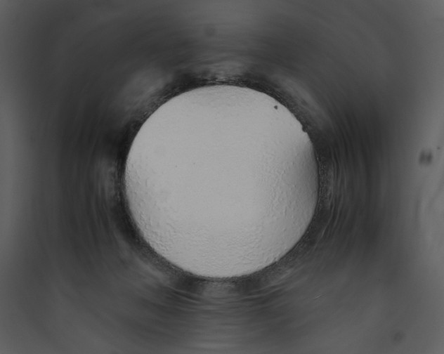 X0000089360222200707131621