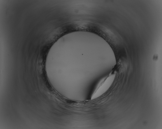 X0000089360223200707131621