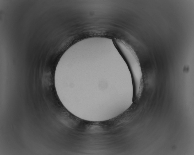 X0000089360224200707131621