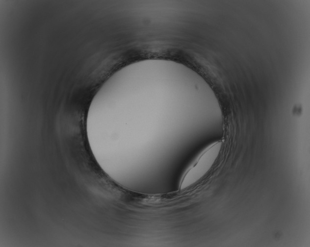 X0000089360225200707131621