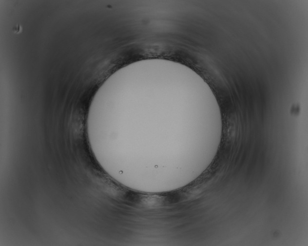 X0000089360226200707131621