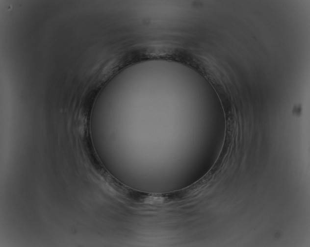 X0000089360227200707131621