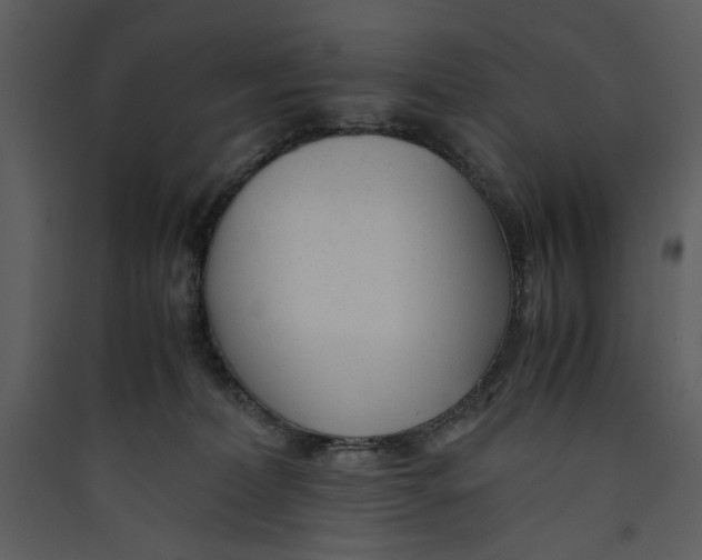 X0000089360228200707131621