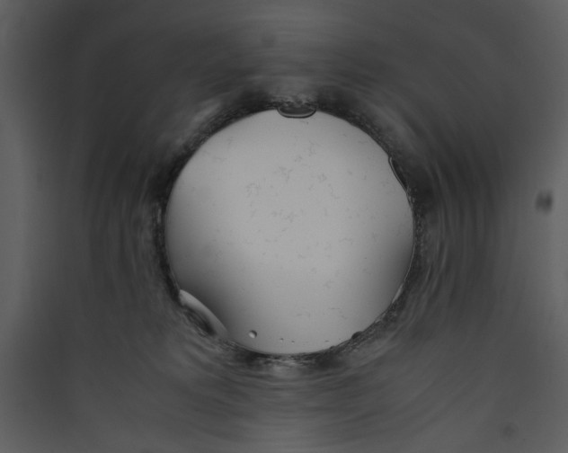 X0000089360229200707131621