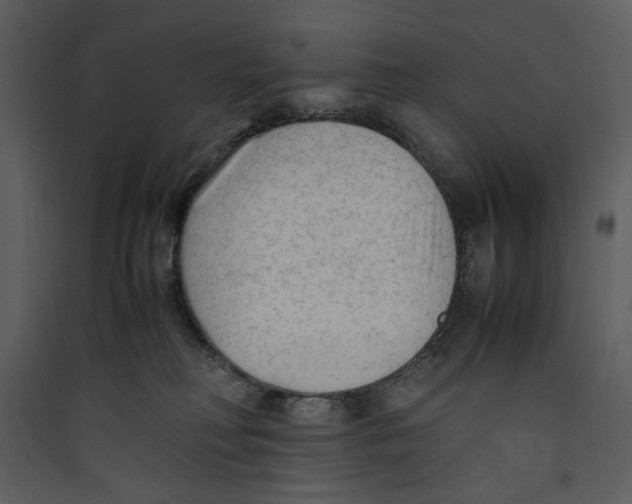 X0000089360230200707131621