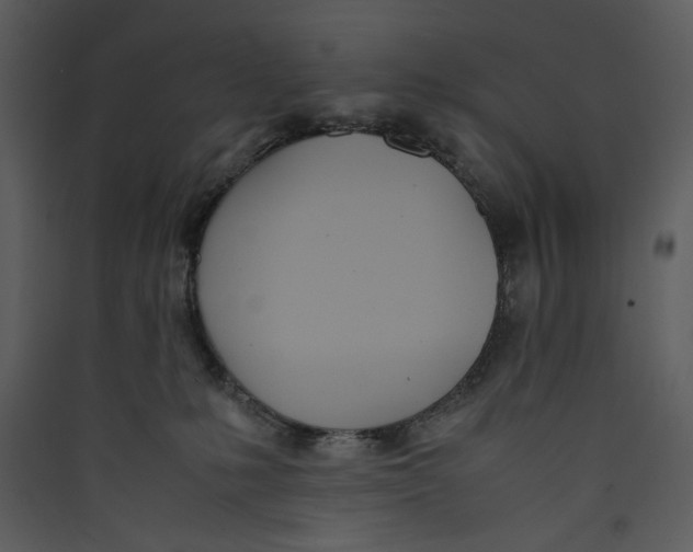 X0000089360231200707131621
