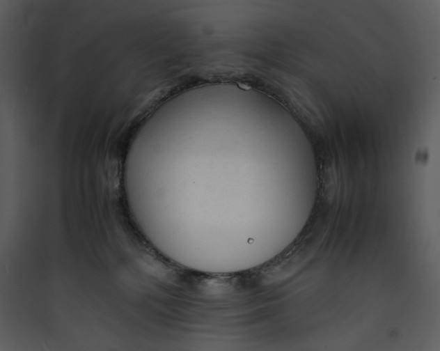 X0000089360232200707131621