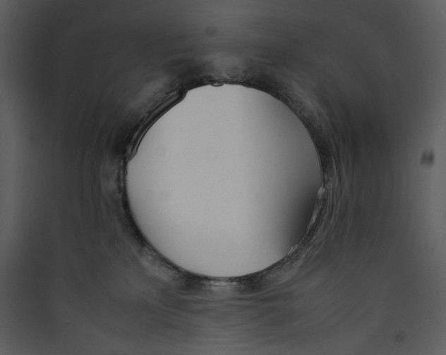 X0000089360233200707131621