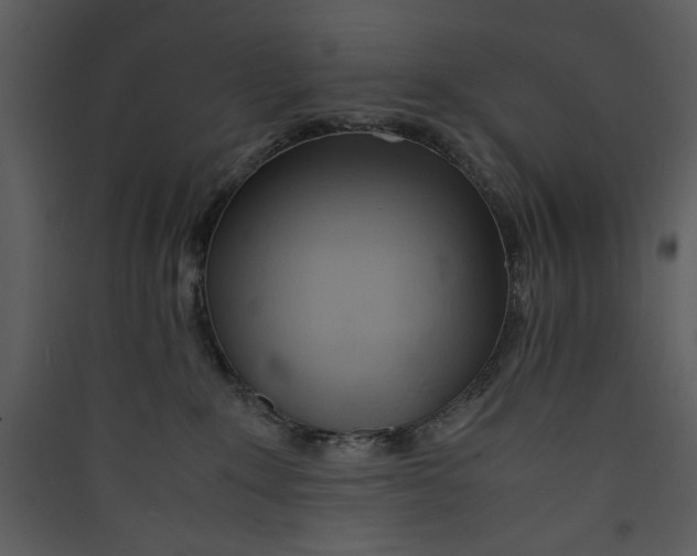 X0000089360235200707131621