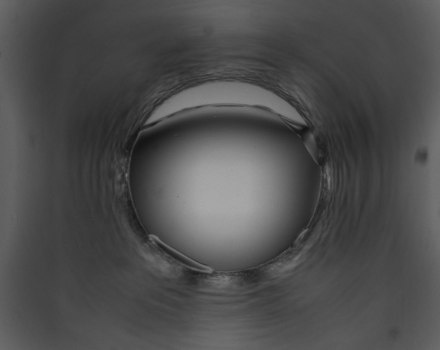 X0000089360237200707131621