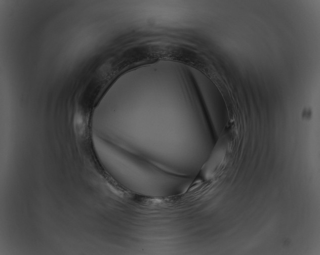 X0000089360239200707131621
