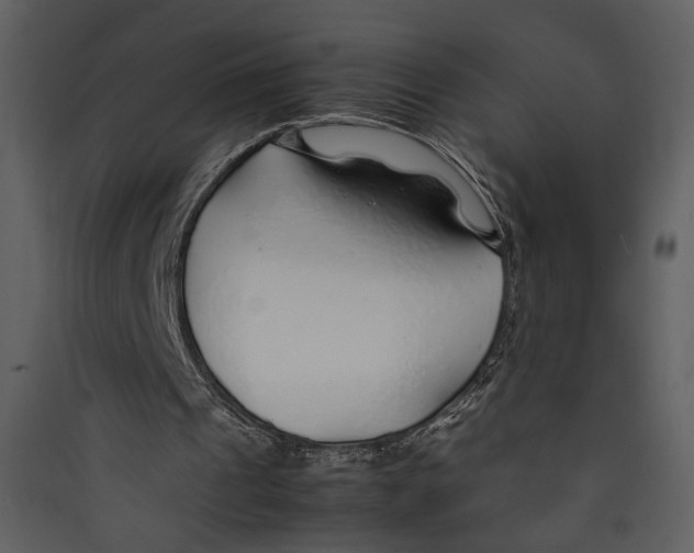 X0000089360241200707131620