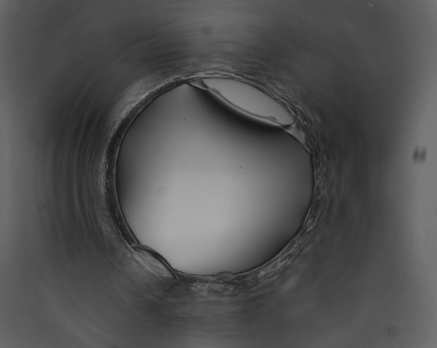 X0000089360242200707131620