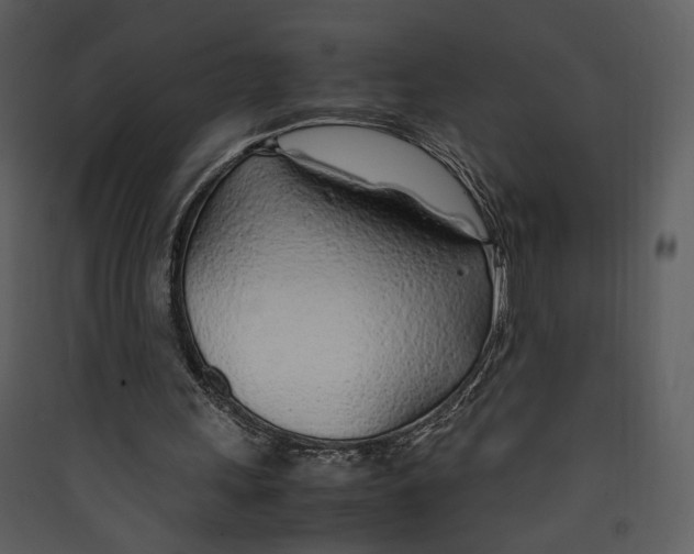 X0000089360243200707131620