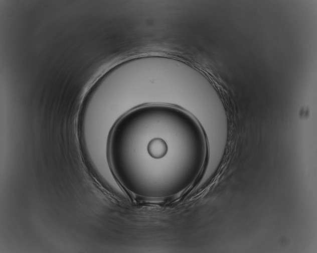 X0000089360244200707131621