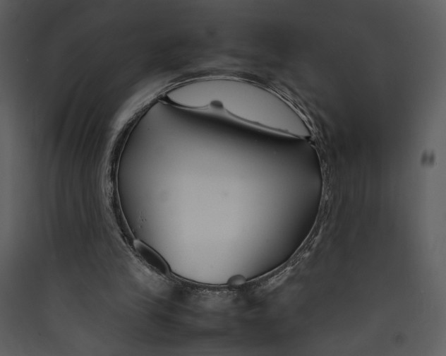 X0000089360245200707131621