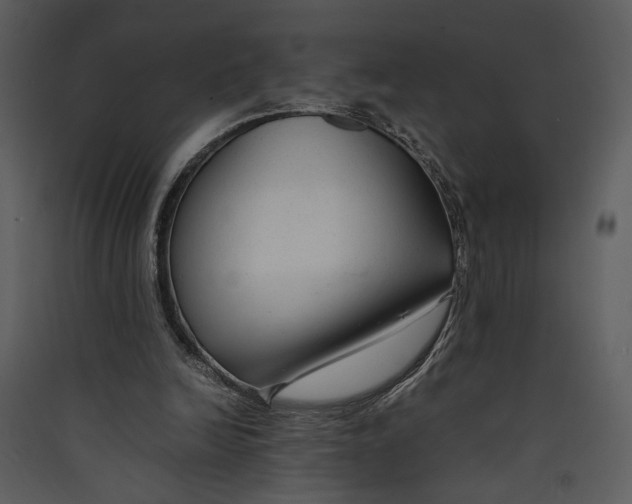 X0000089360246200707131621