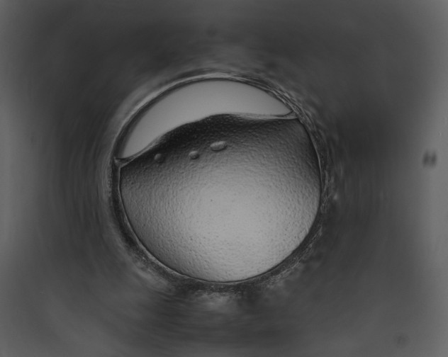 X0000089360247200707131621