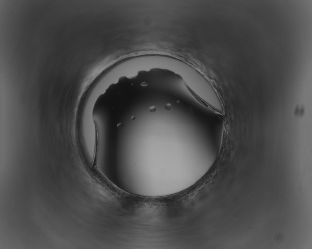 X0000089360248200707131621