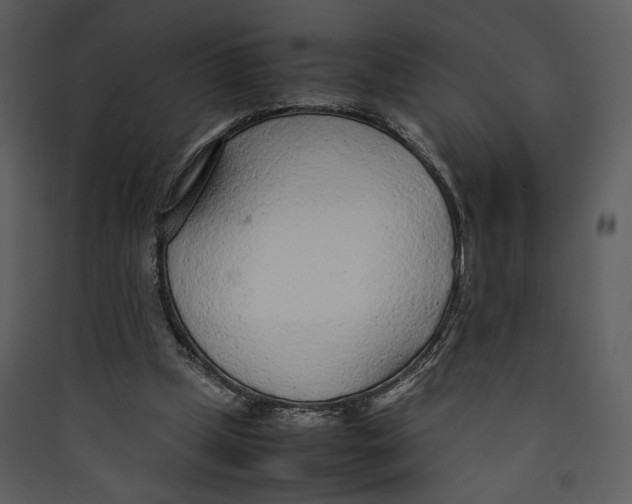 X0000089360249200707131621