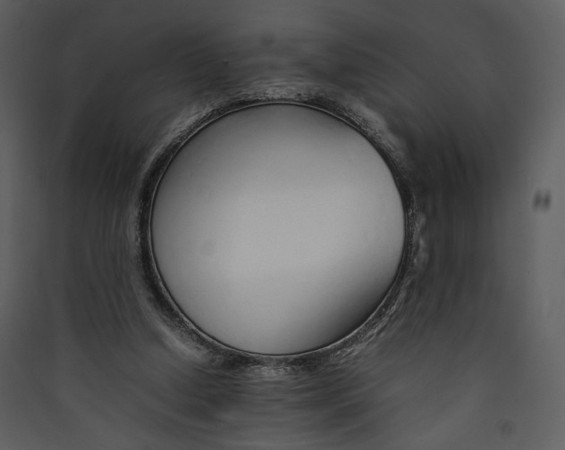 X0000089360250200707131621